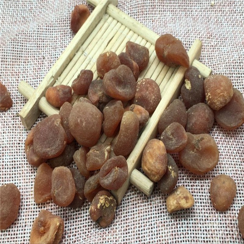 土贝母大贝母可打粉货品多可详聊中药专营
