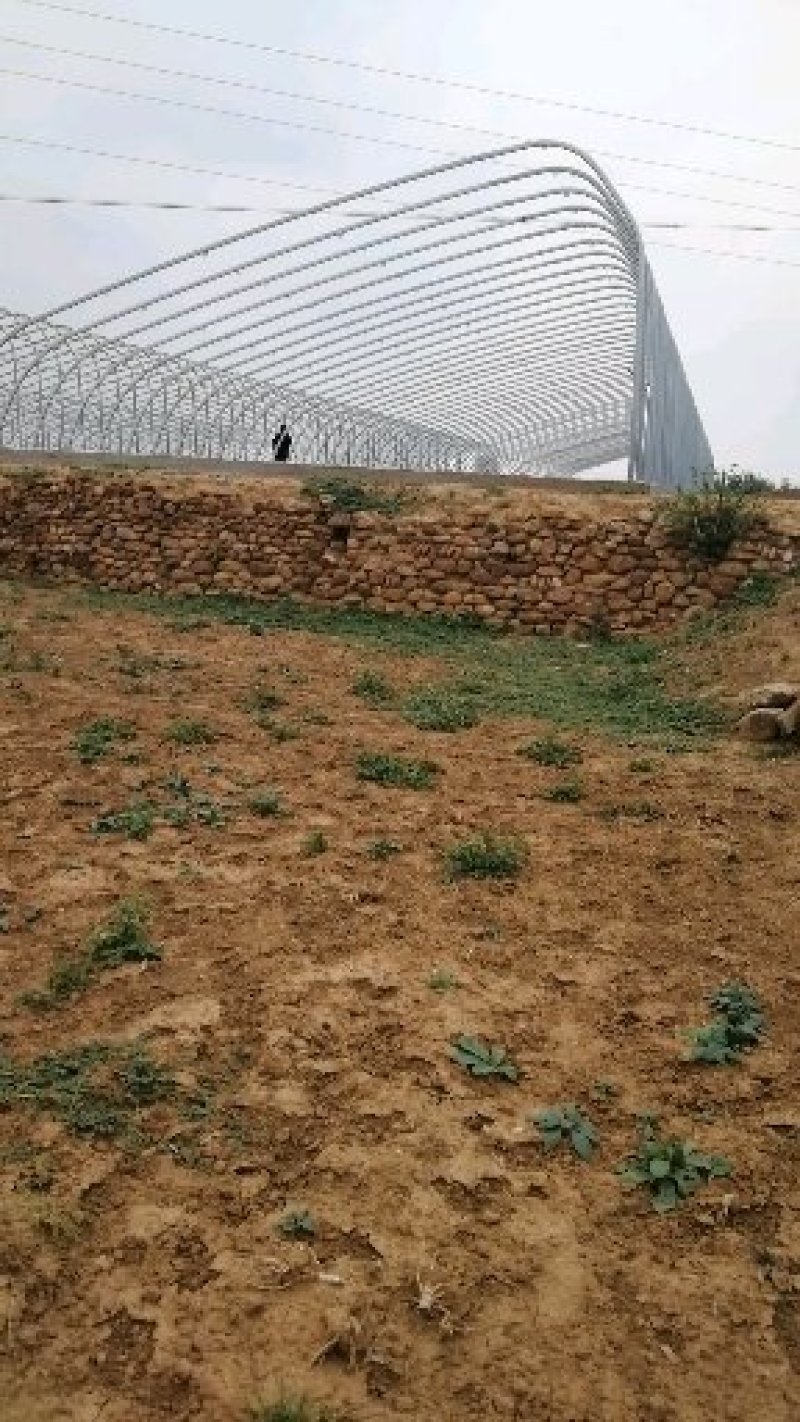 温室大棚，温室大棚安装，温室大棚建设