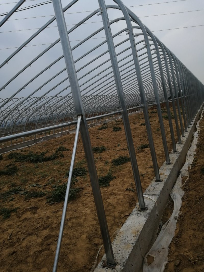 温室大棚，温室大棚安装，温室大棚建设