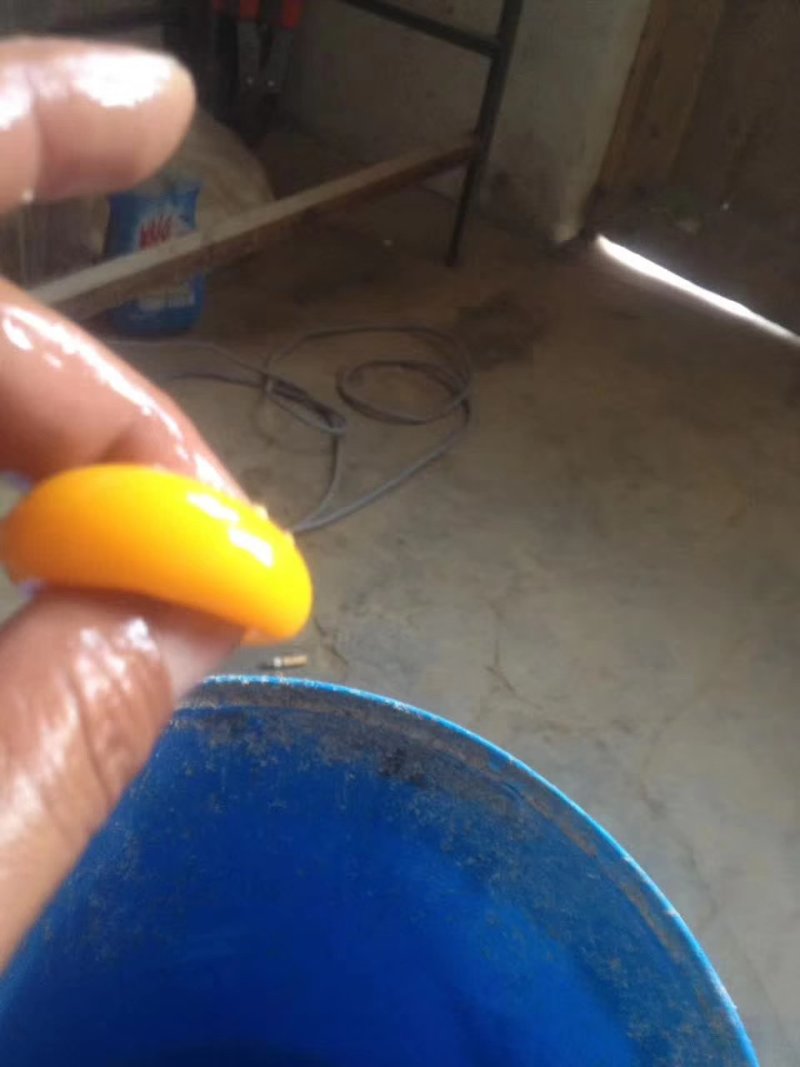 散养柴鸡蛋自家散养