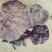 野生中药材黑灵芝统货精品都有