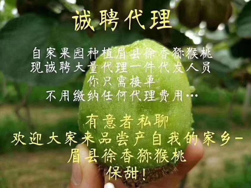徐香猕猴桃