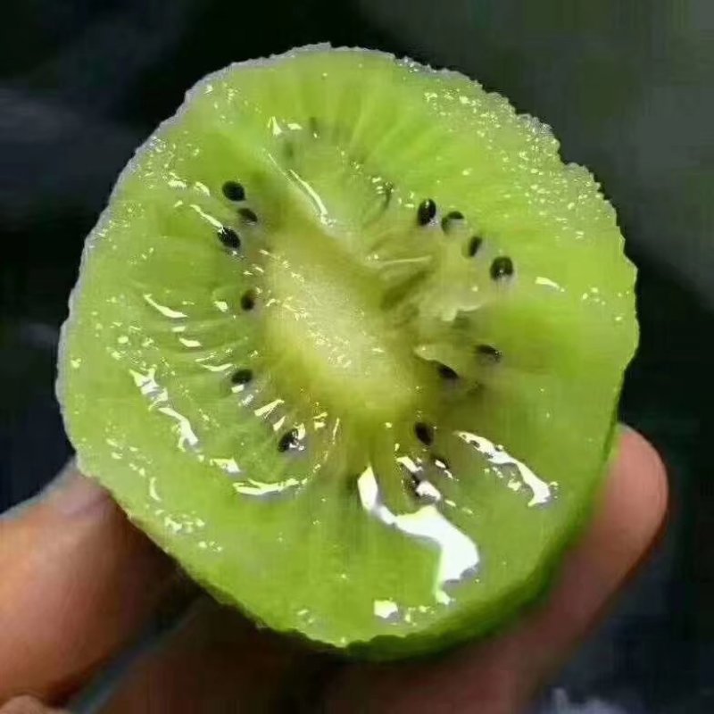 徐香猕猴桃