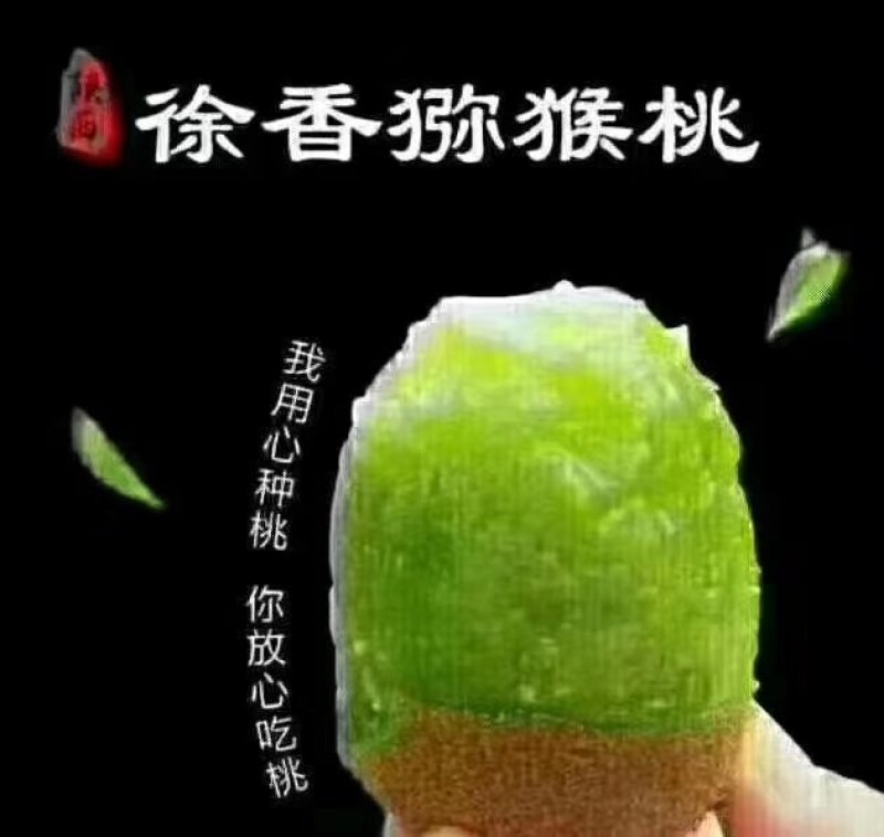 徐香猕猴桃