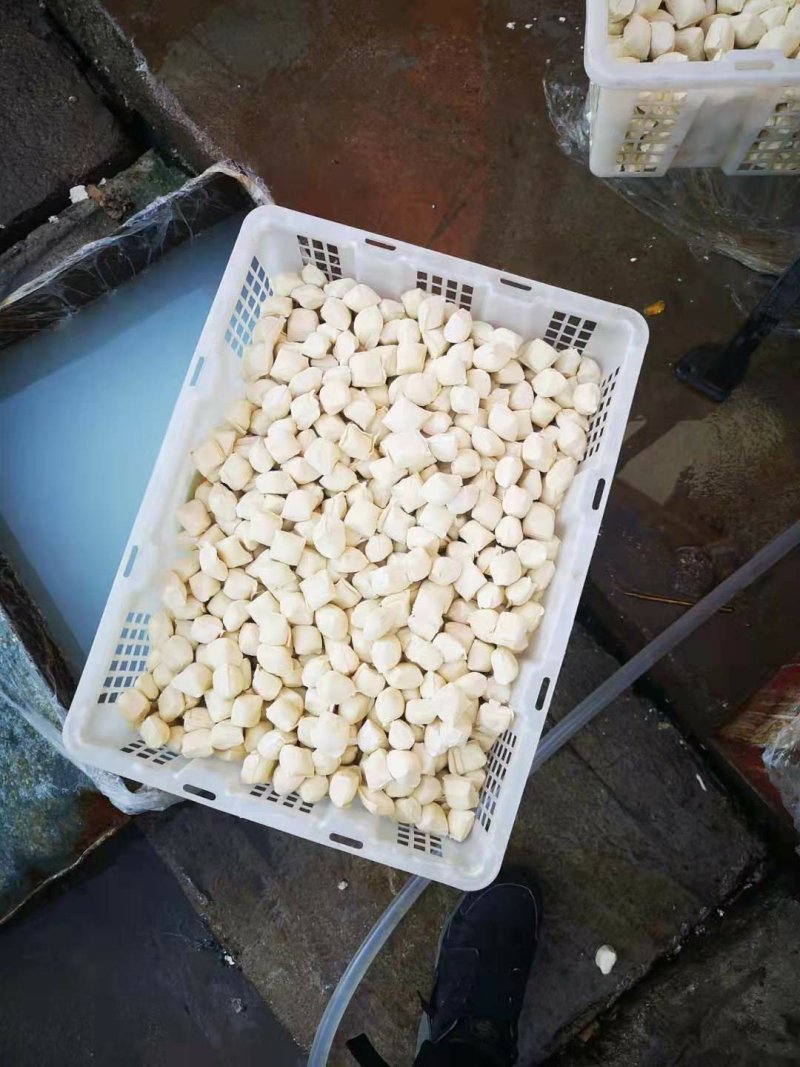 建水正宗烧豆腐(可发样品)