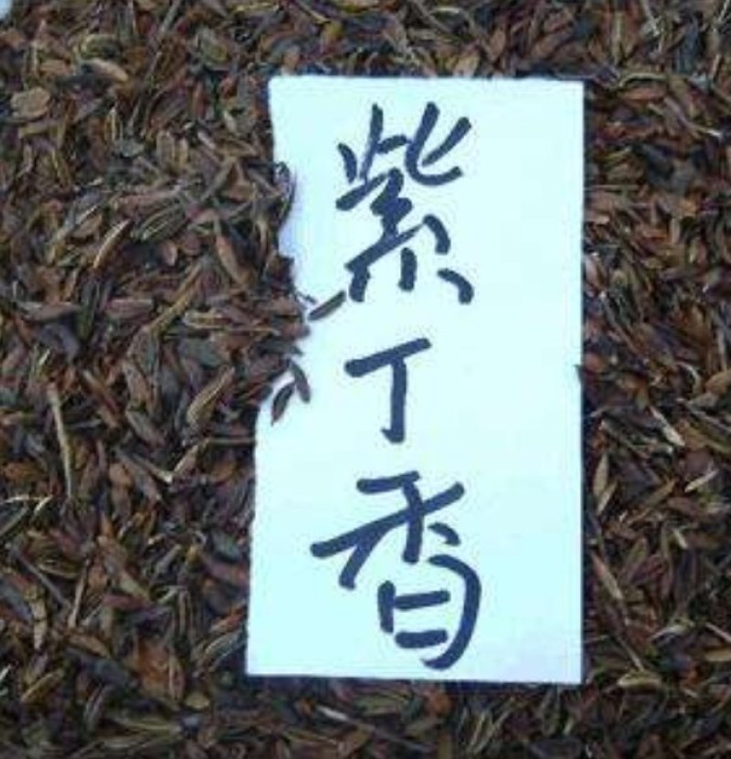 紫丁香种子多年生花菜卉种子种子