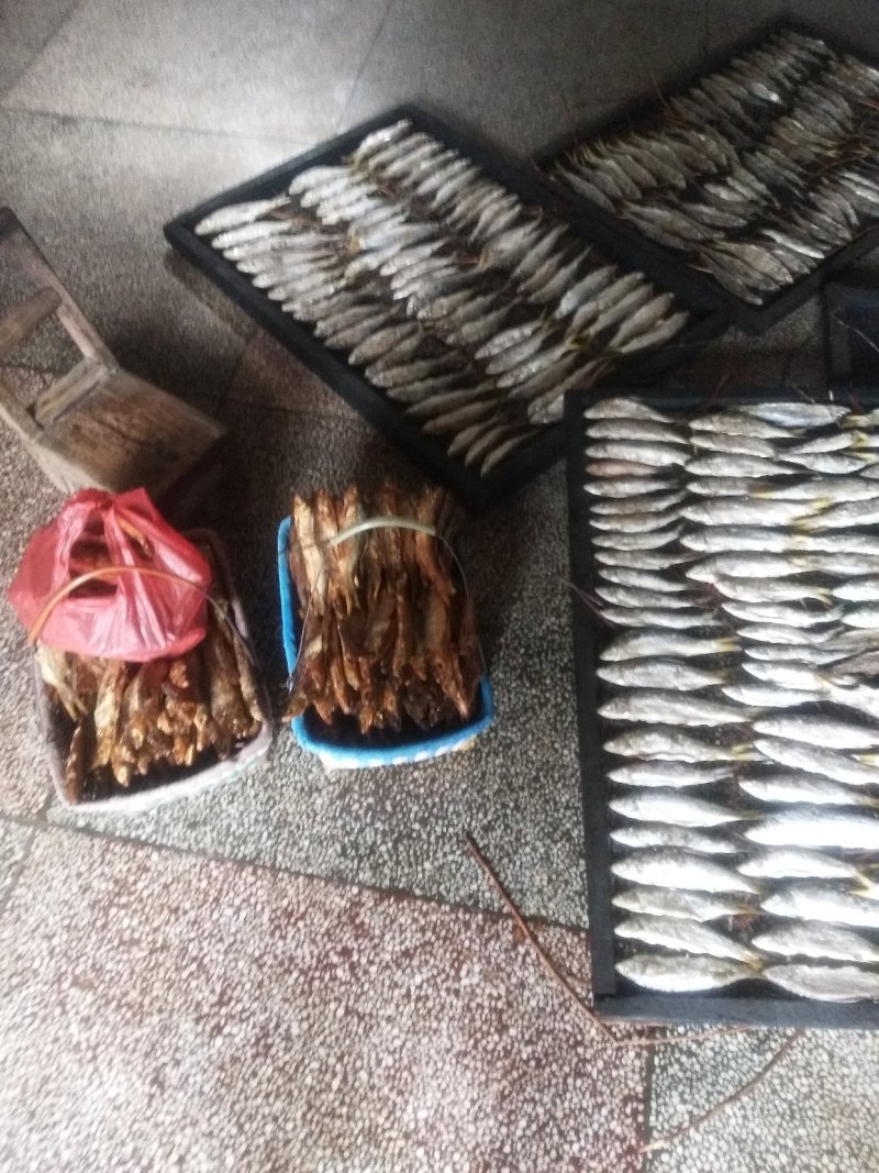 鱼干