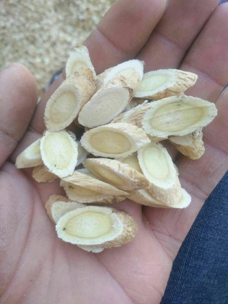 黄芪大量供应无杂质厂家直销价格优惠