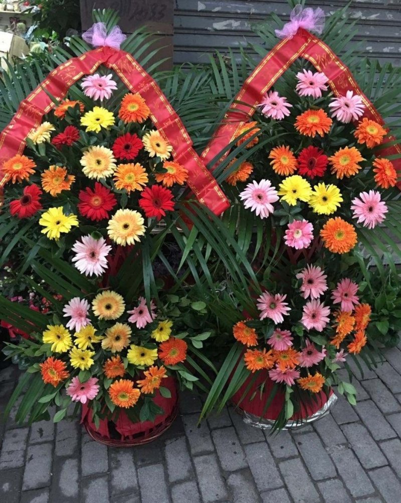 山东鲜花基地直供扶郎鲜花批发非洲菊一扎20支婚车插花蓝