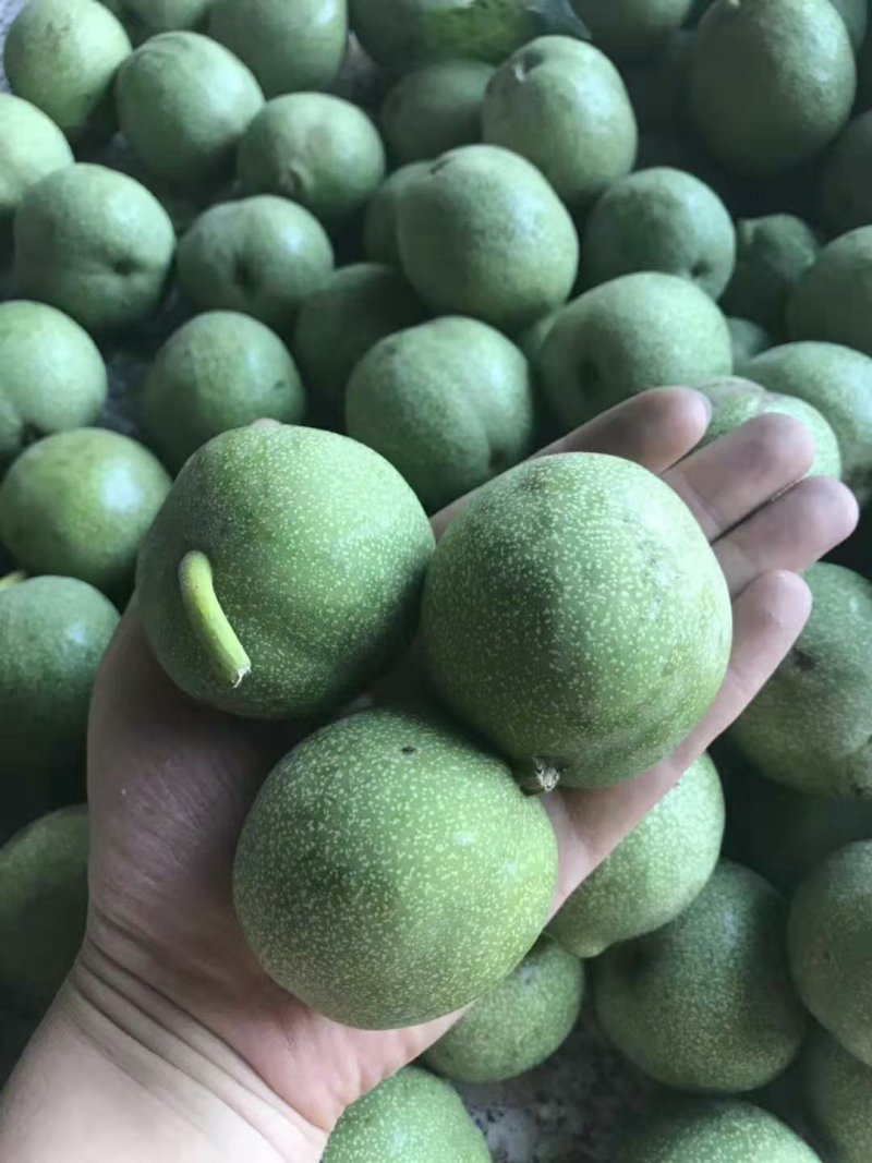 山西汾阳礼品核桃