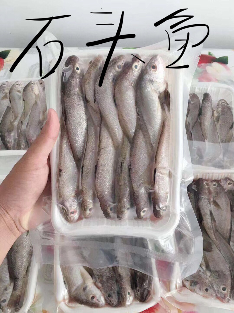 海鱼