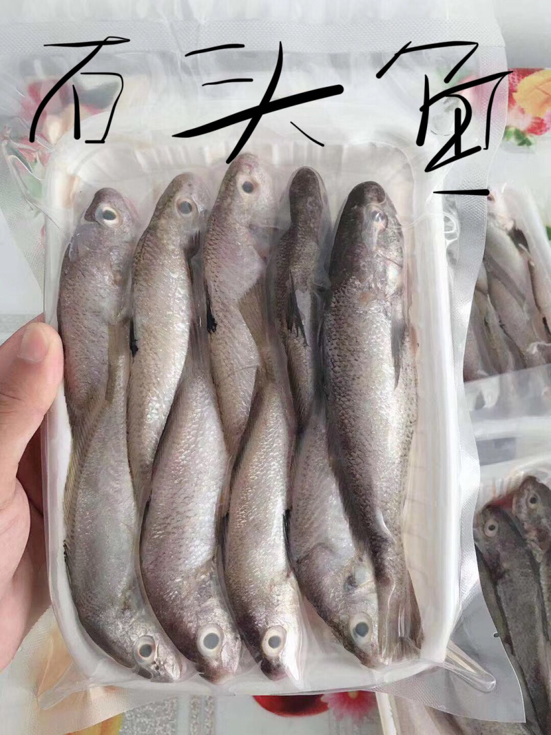 海鱼