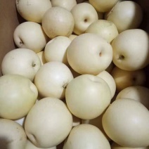 价格低质量好