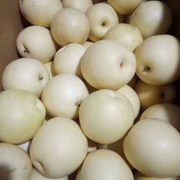 价格低质量好