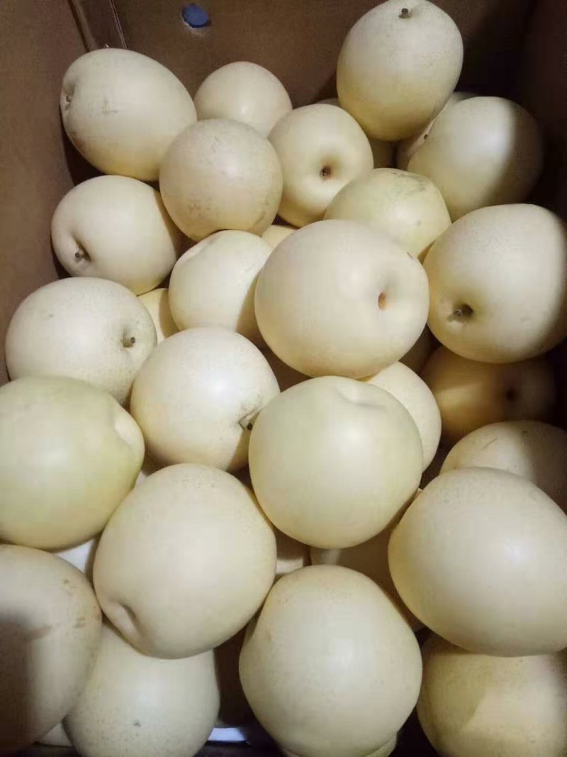 价格低质量好