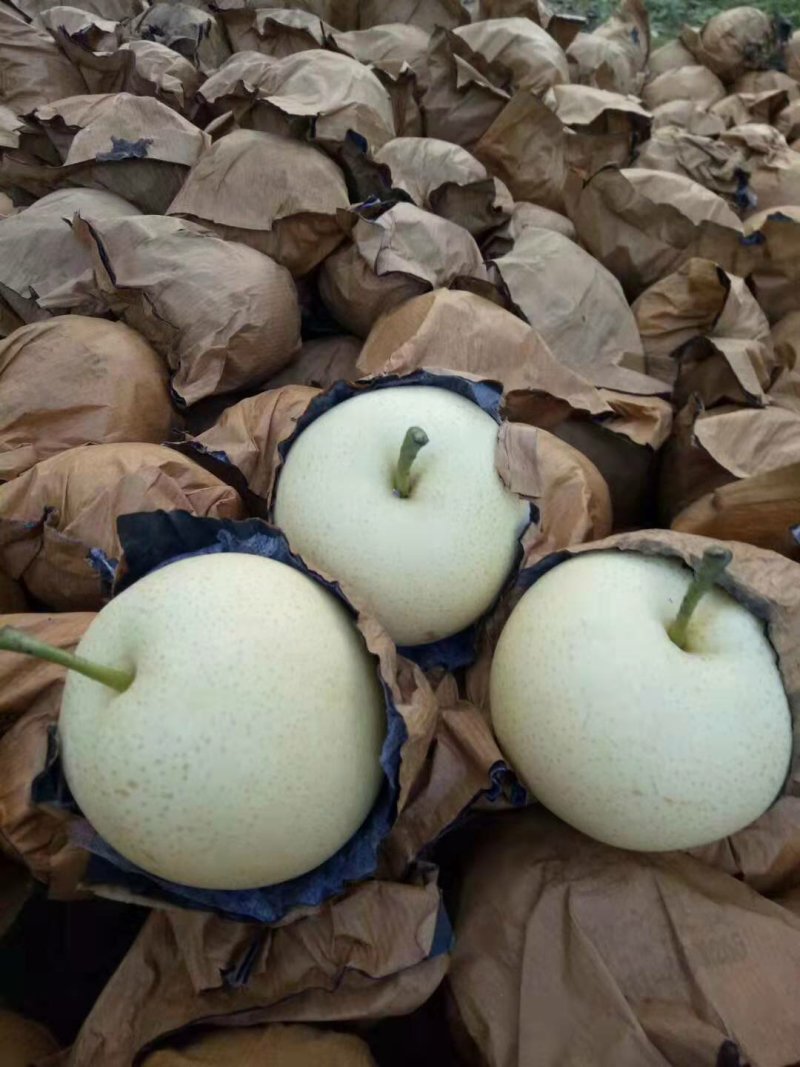 价格低质量好