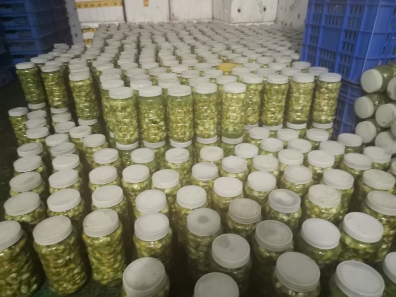 豆丹瓶装开始预订冻虫包运费