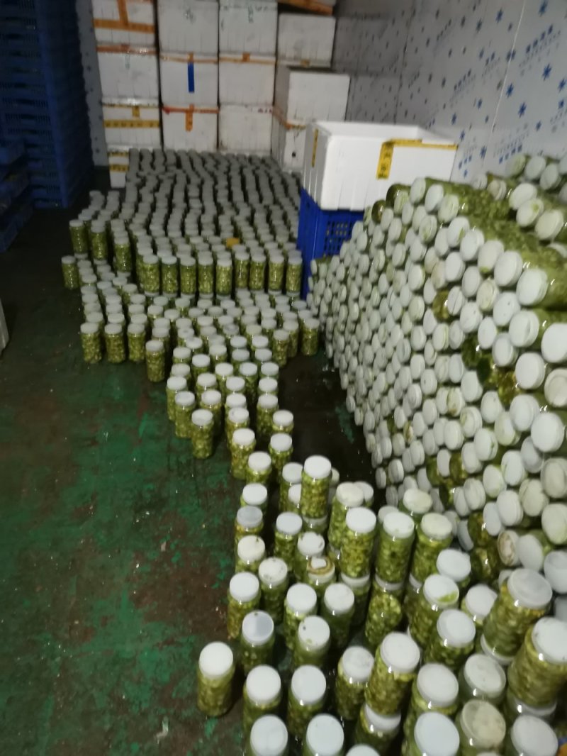 豆丹瓶装开始预订冻虫包运费