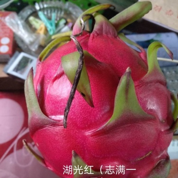 火龙果（红心）
