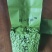 乌龙茶