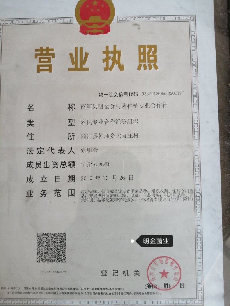 平菇母种【平菇菌种】菌棒原种栽培种品质上乘保证质量
