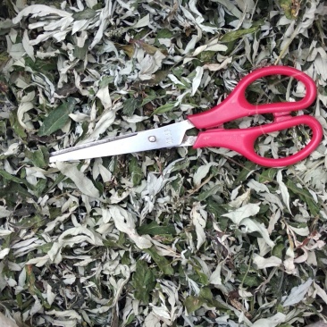 贵州铜仁野生无硫小艾叶干货白蒿艾草色青纯叶产地直发
