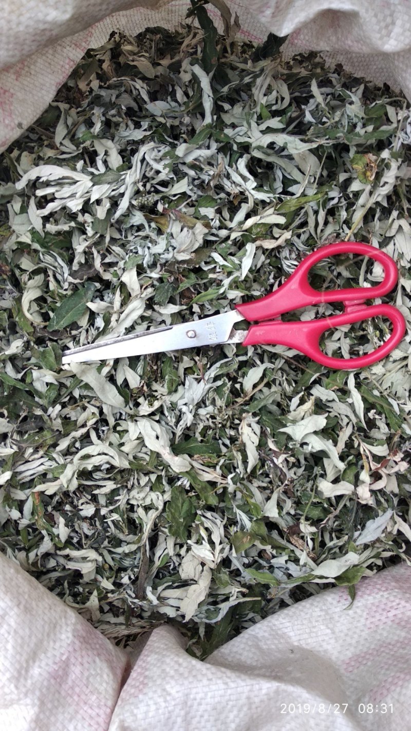 贵州铜仁野生无硫小艾叶干货白蒿艾草色青纯叶产地直发