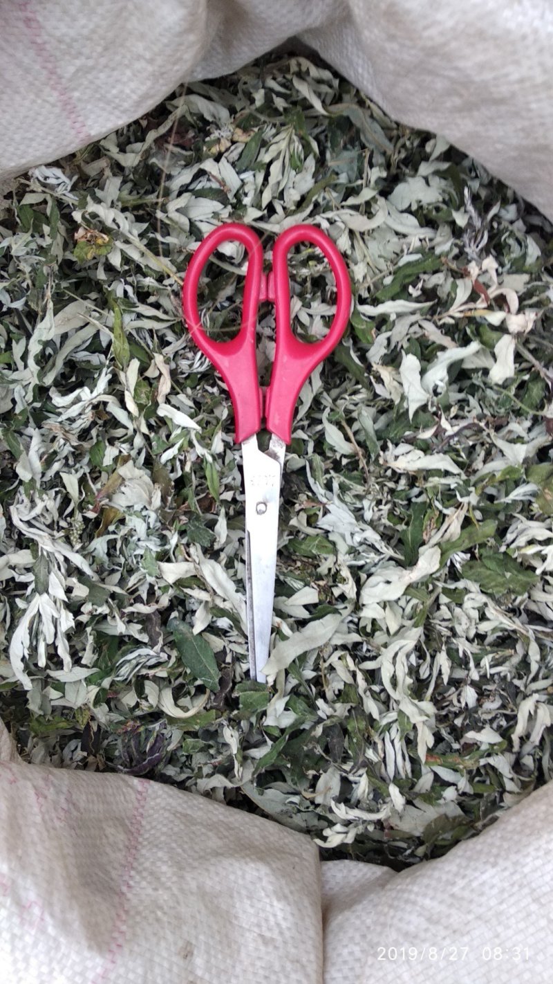 贵州铜仁野生无硫小艾叶干货白蒿艾草色青纯叶产地直发
