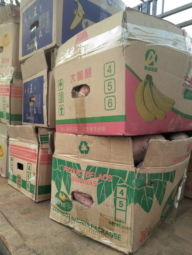红薯西瓜红大量供应又甜又面口感非常好欢迎各位客商光临
