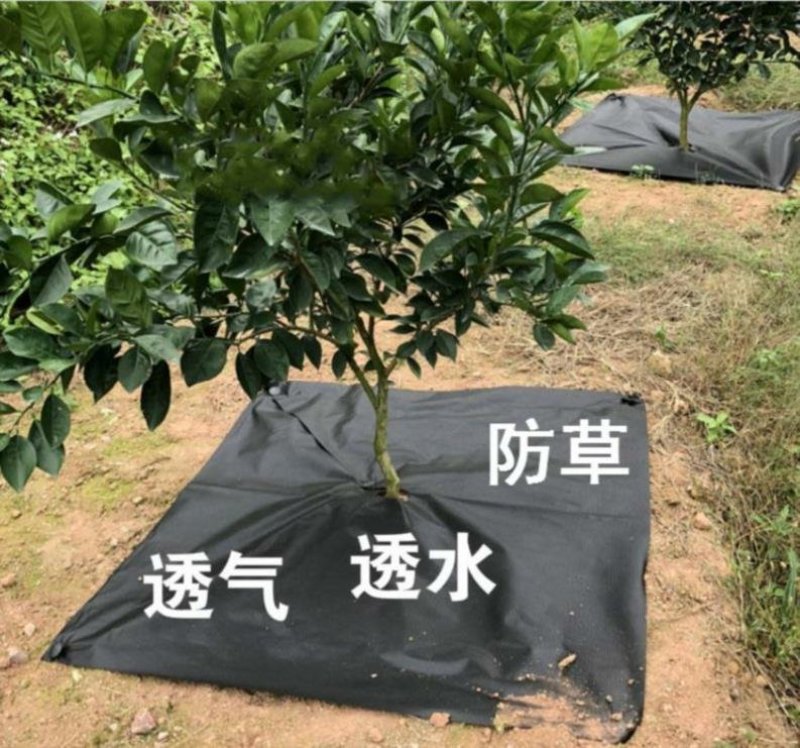 打孔防草布除草布抗老化透水透气