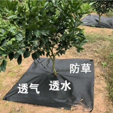 防草布除草布抗老化抗暴晒