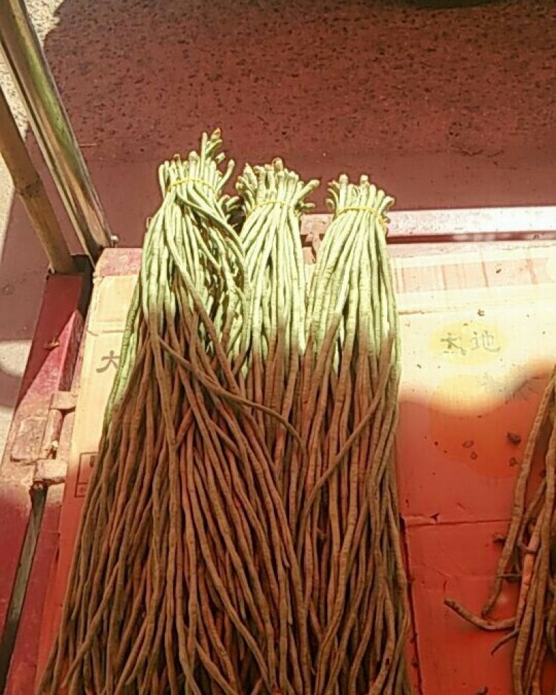 长豆角