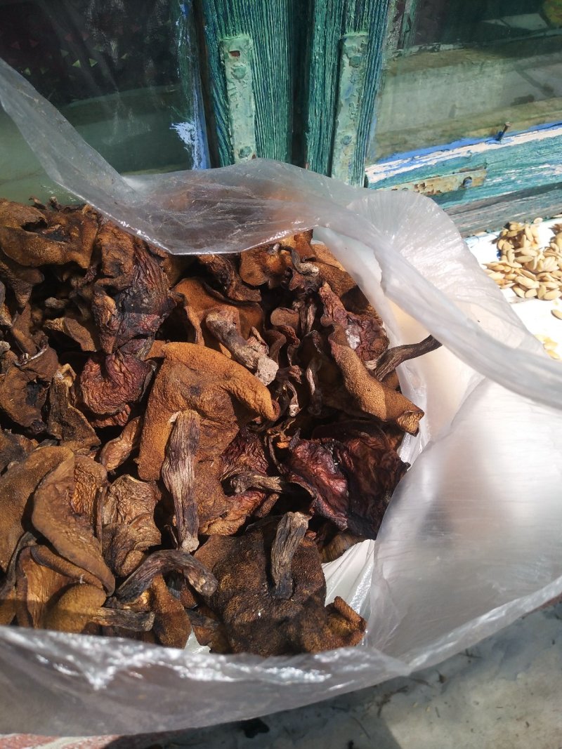 手挑干净松蘑，自然干无虫货需要的联系我吧