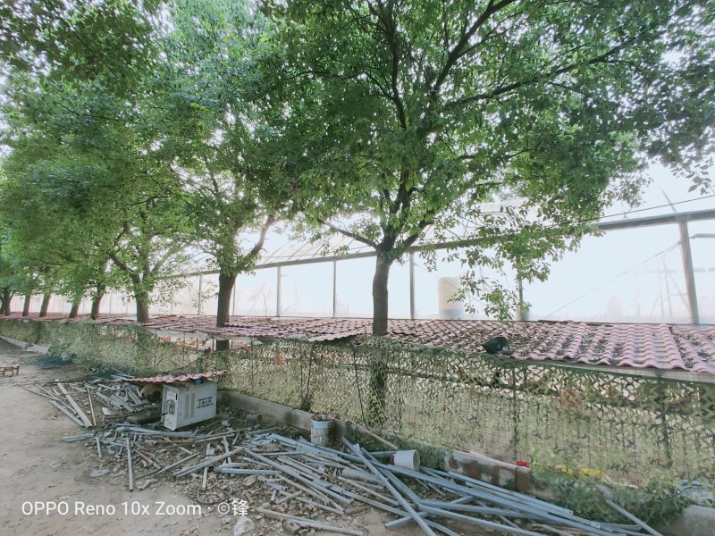 家禽养殖场地出租，设备齐全