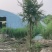家禽养殖场地出租，设备齐全