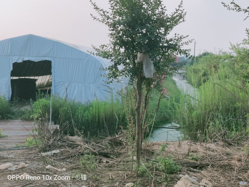 家禽养殖场地出租，设备齐全