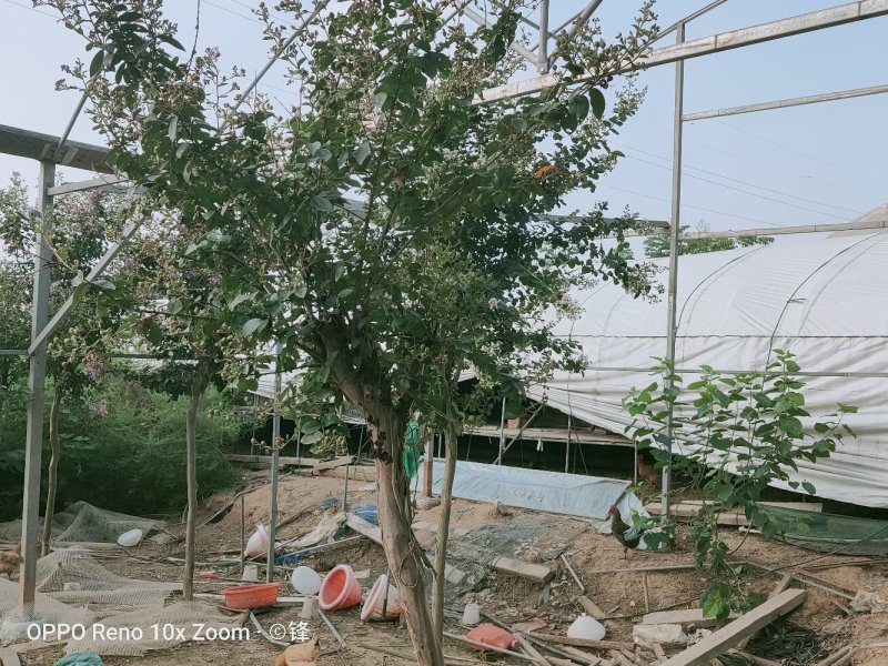 家禽养殖场地出租，设备齐全