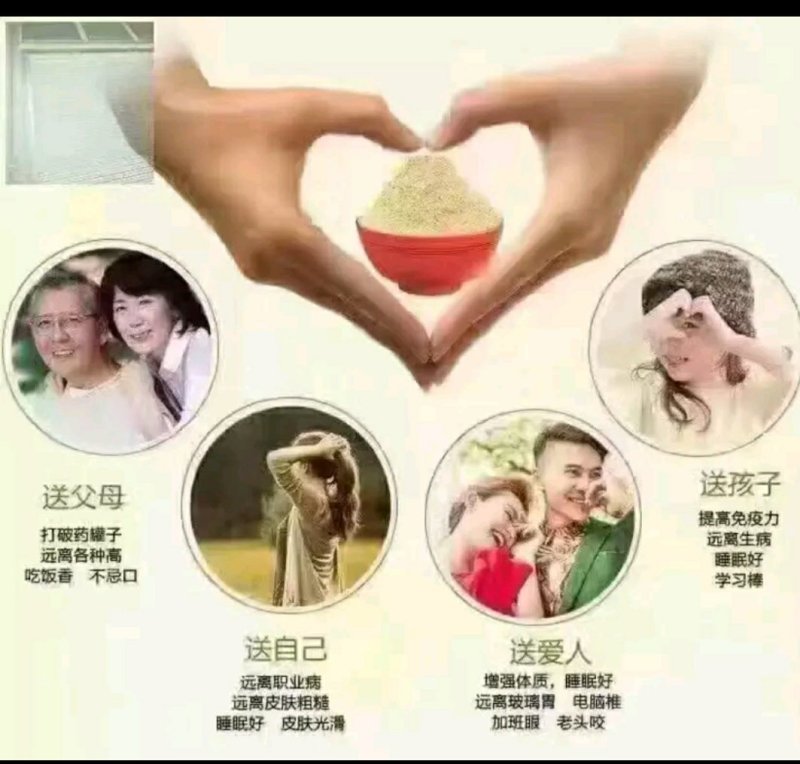 铁皮石斛粉