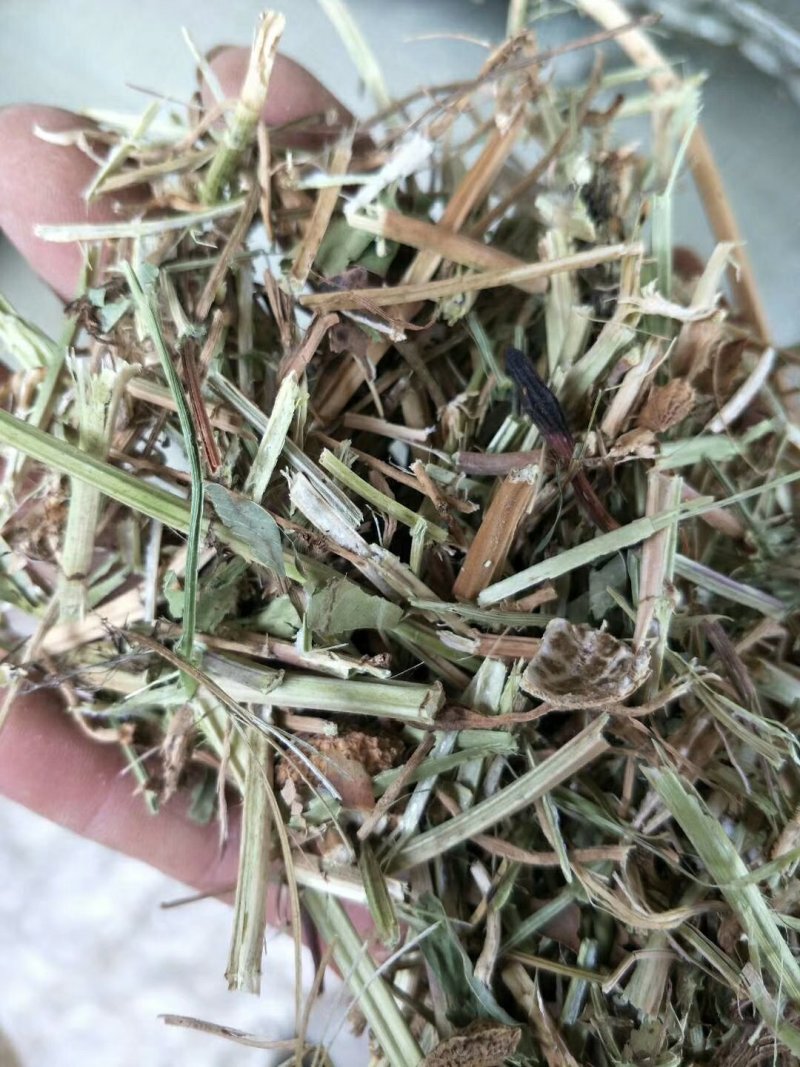 牛草羊草驴草马草兔等草河南花生秧草料