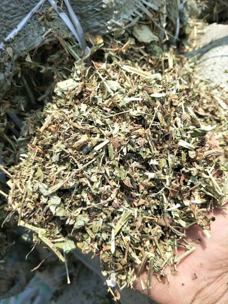 牛草羊草驴草马草兔等草河南花生秧草料