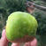 海沃特猕猴桃，绿心猕猴桃，现摘现卖保质保量