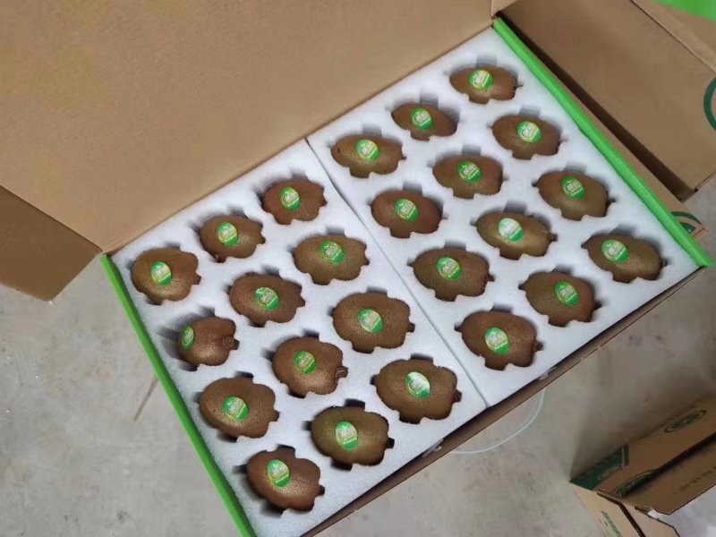 陕西猕猴桃，，，，，，，，，，，，，，，，，，