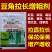加力源豆类叶面肥四季豆豇豆角拉长增粗拉直增产生长调节剂