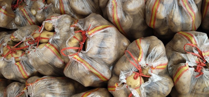 内蒙土豆榆林土豆大量现货供应品种齐全，山东肥城冷库发库