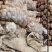 内蒙土豆榆林土豆大量现货供应品种齐全，山东肥城冷库发库