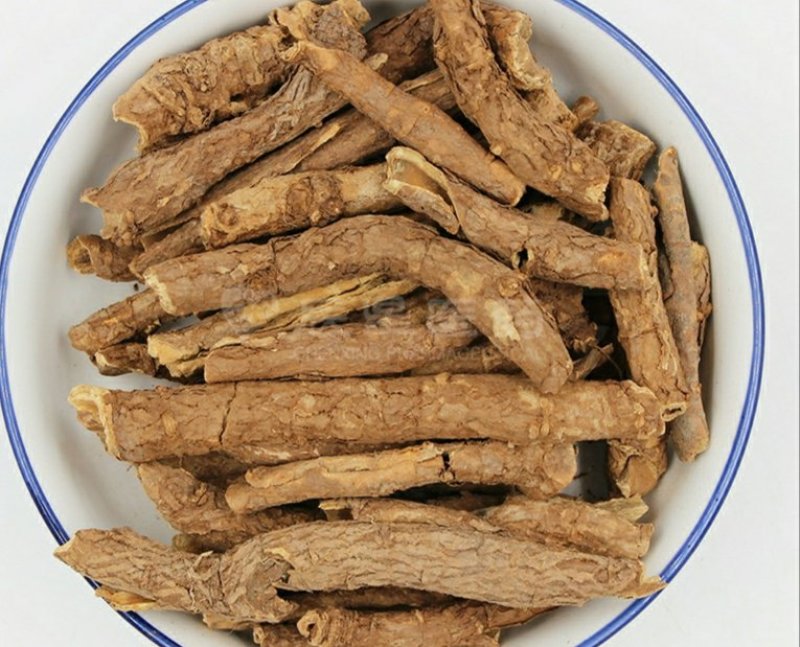 五加皮中药专营品质保证批发零售