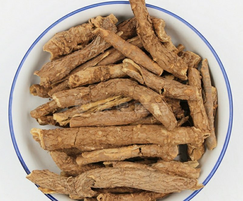 五加皮中药专营品质保证批发零售