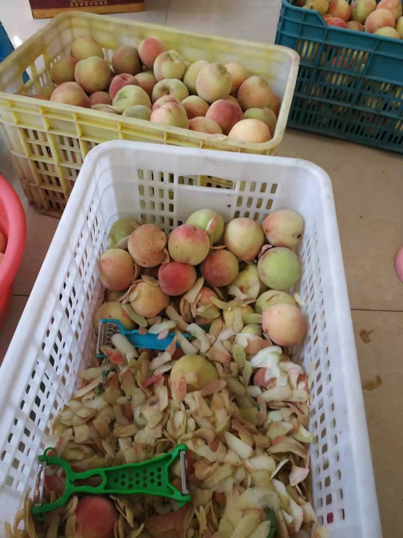 纯手工桃罐头