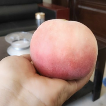 江苏秋园蜜挑