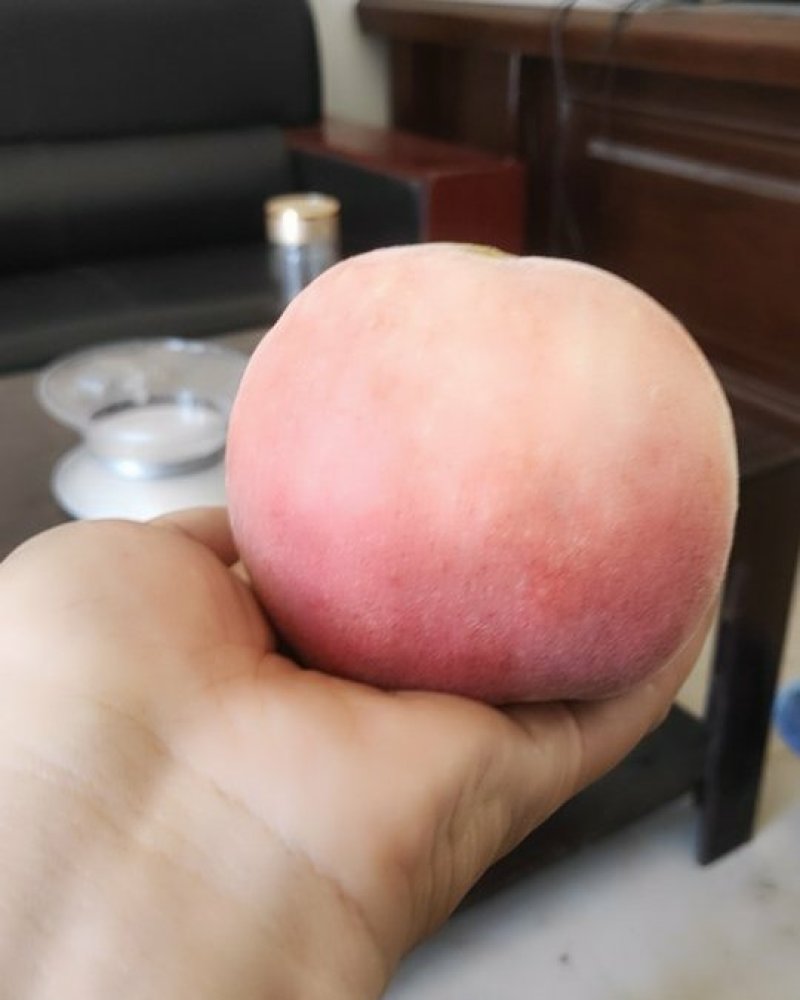 江苏秋园蜜挑